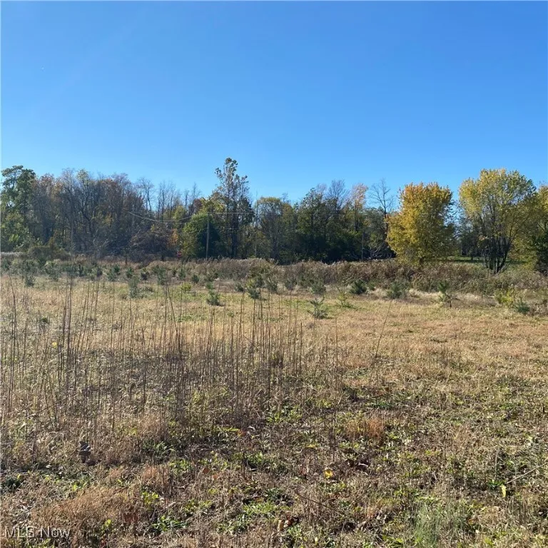 View of tree filled area with a rural view