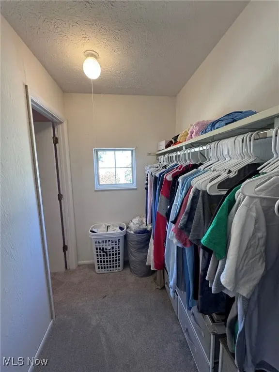 Spacious closet featuring carpet floors