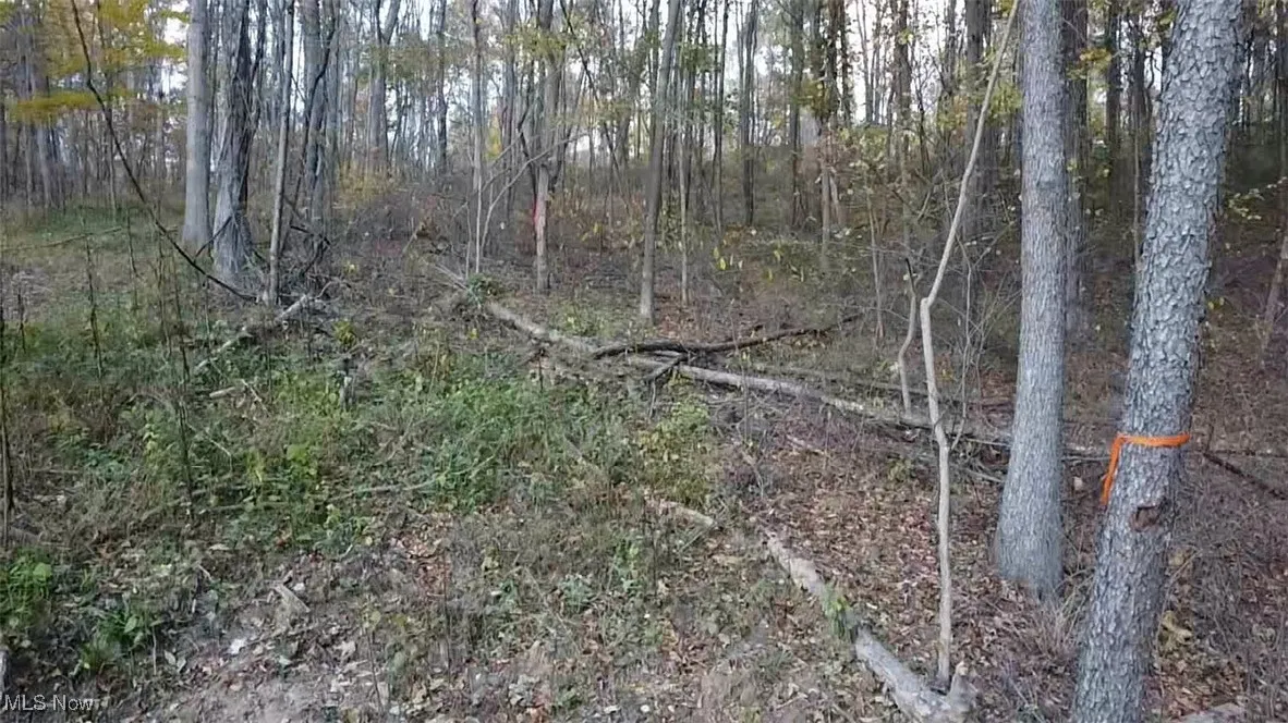 approximate marker for the 5.13 acres