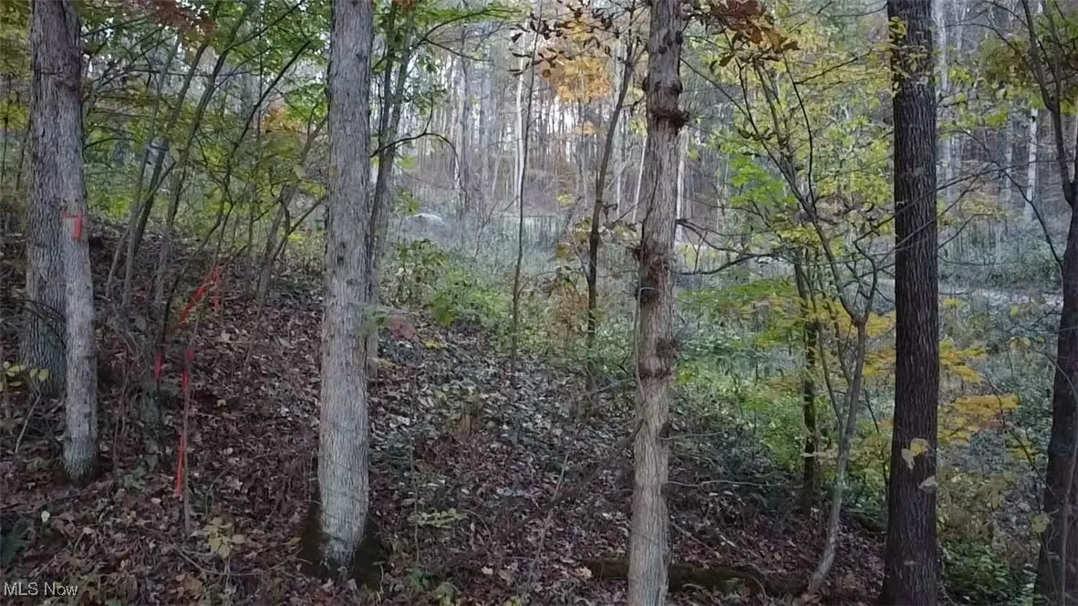 approximate marker for the 5.13 acres