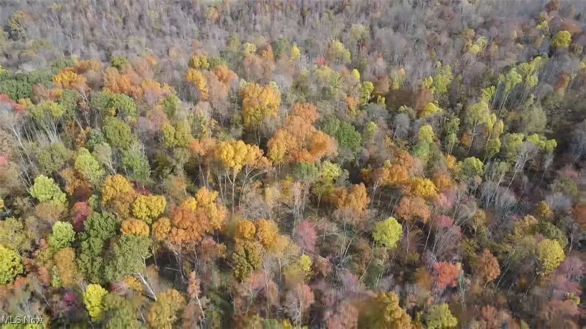 Aerial view of property's location with heavily wooded area