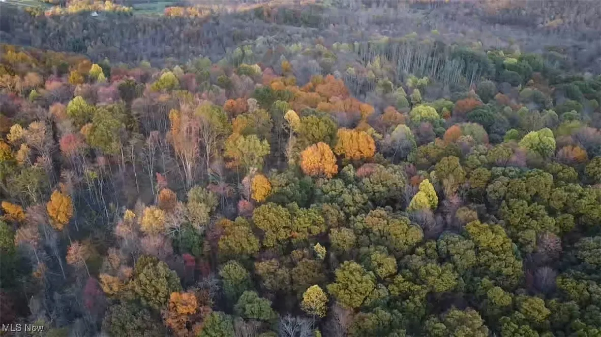 Aerial overview of property's location with a heavily wooded area