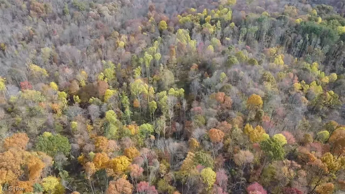 View of property location with a heavily wooded area