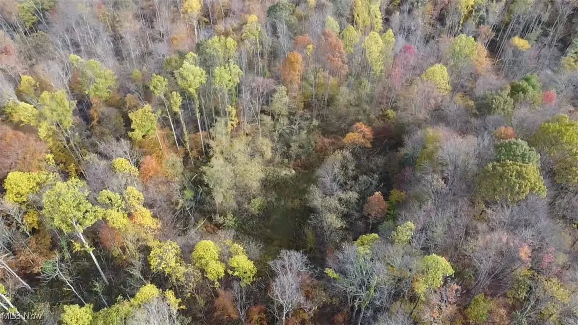 Aerial view of property and small​​‌​​​​‌​​‌‌​‌‌​​​‌‌​‌​‌​‌​​​‌​​ clearing