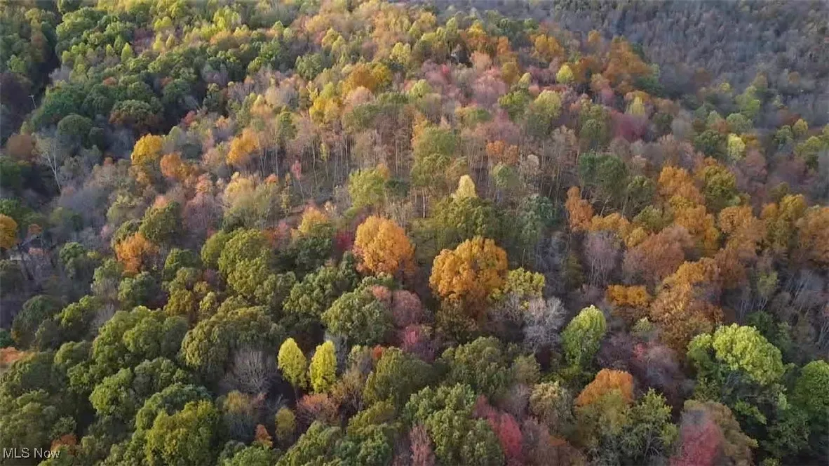 Aerial overview of property's location with a forest