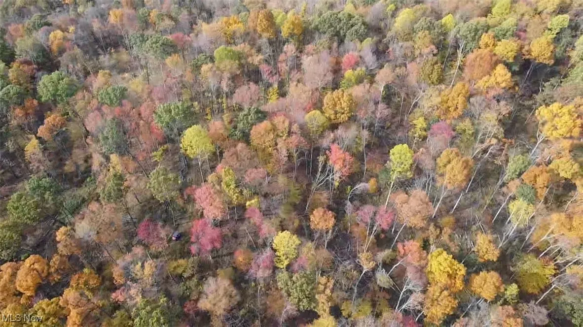Aerial view of property