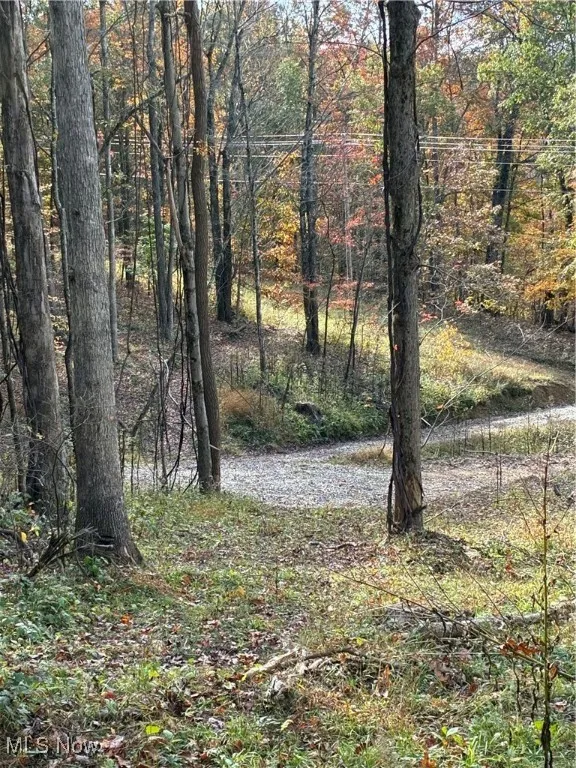View of the driveway from the top of it