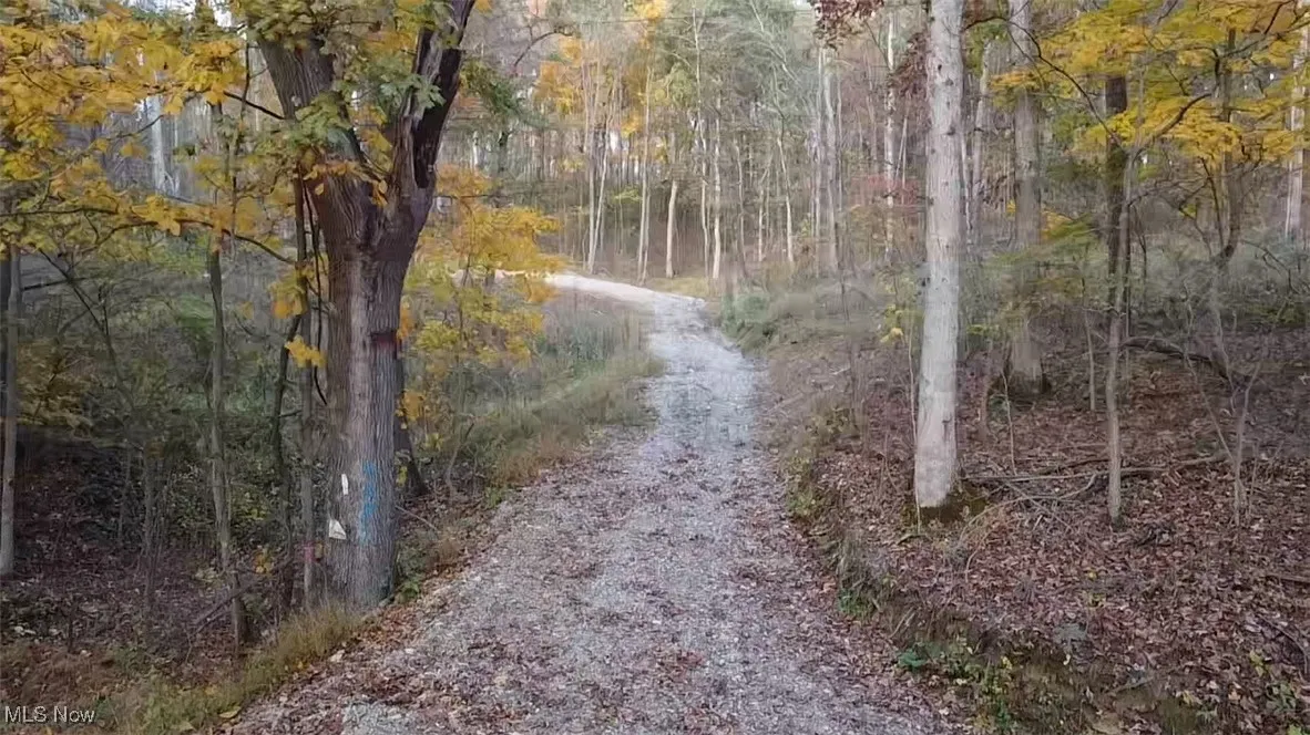 View of driveway featuring a wooded view