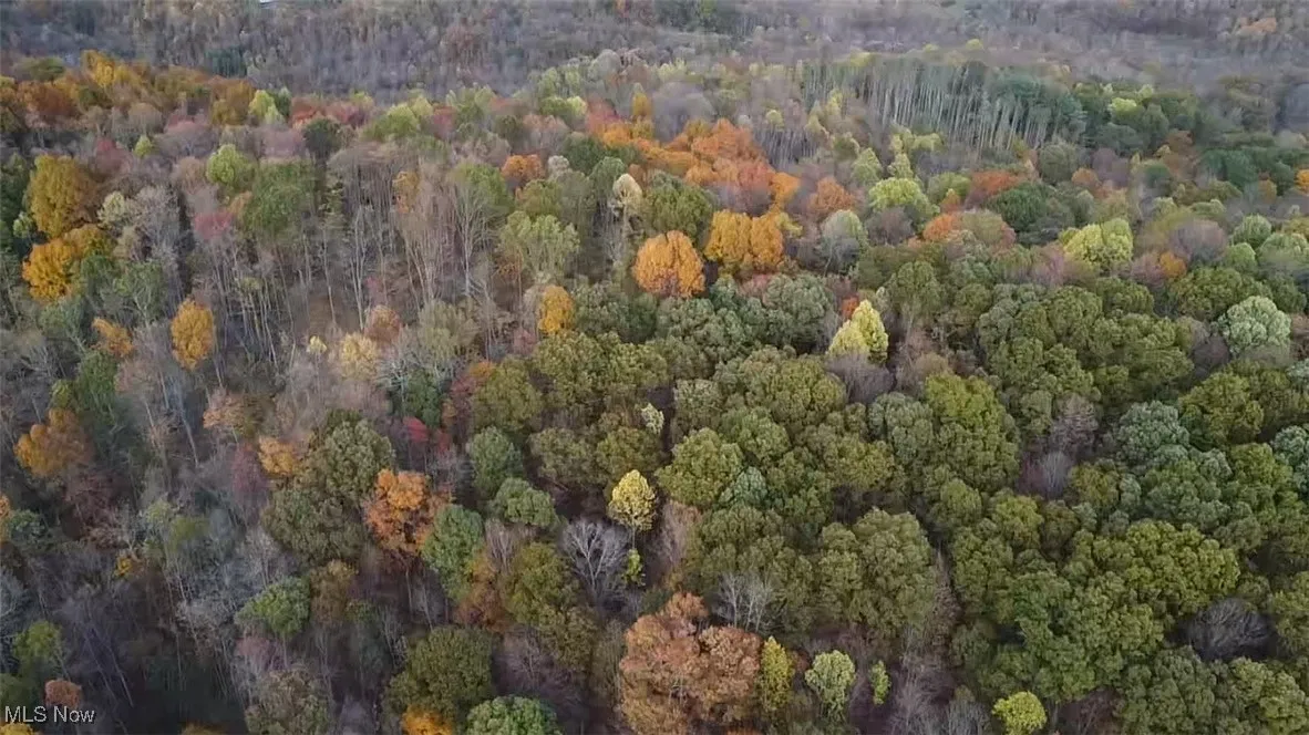 Aerial view of property location featuring a forest