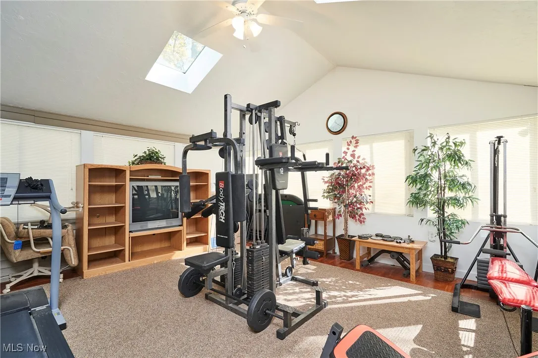 Exercise area featuring a skylight, lofted ceiling, wood finished floors, and ceiling fan