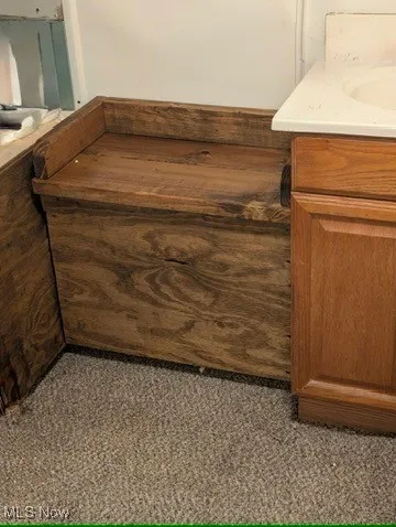 Bathroom view of vanity and carpet flooring