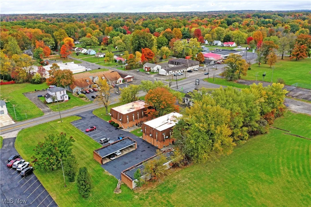 Bird's eye view of a forest