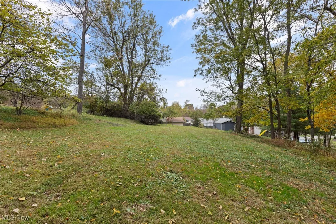 View of grassy yard with view of wooded area