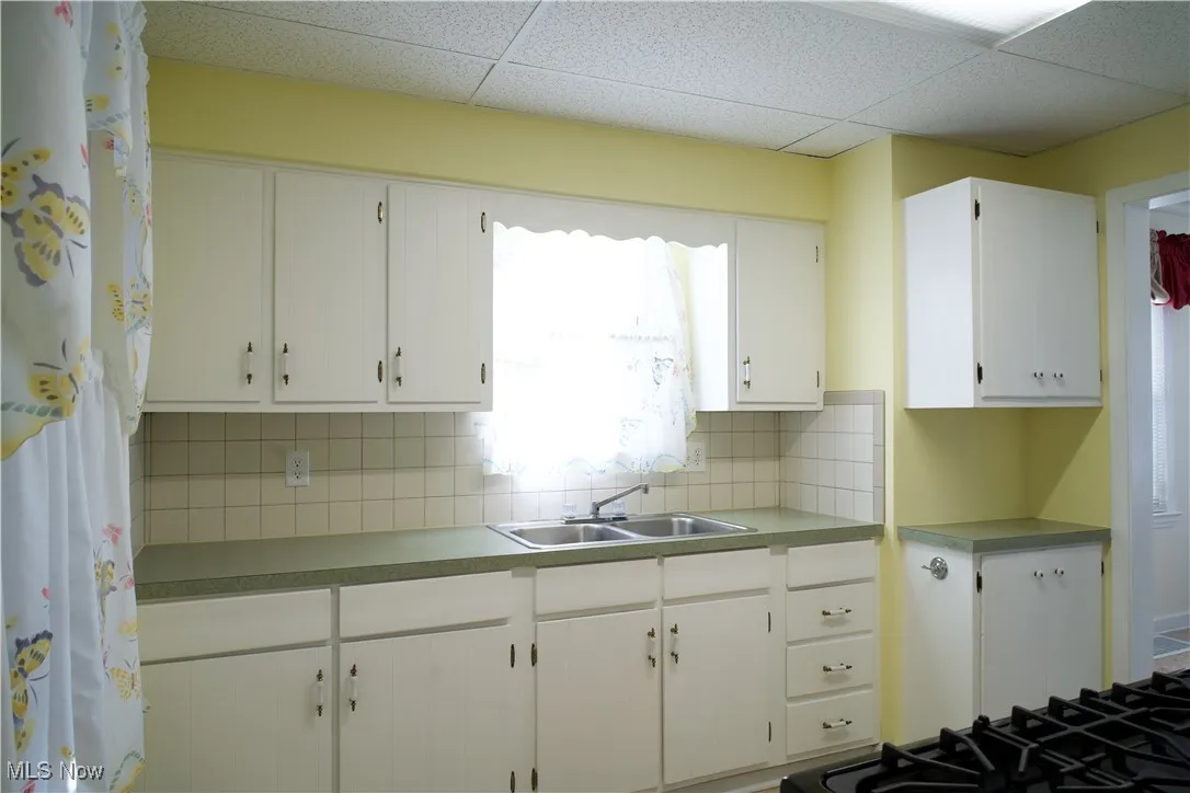 1635 Brown Street, Akron, Ohio 44301,MLS Now Listing ID