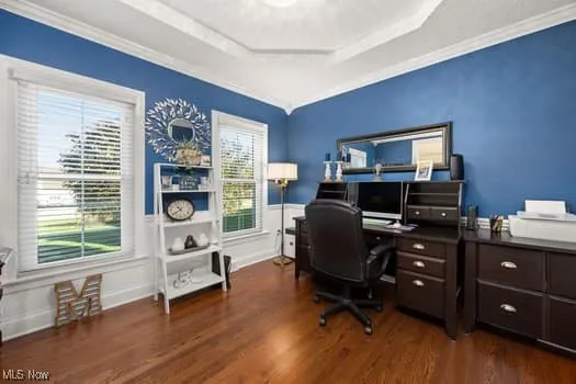 Office area featuring a tray ceiling, dark wood-style flooring, crown molding, and wainscoting