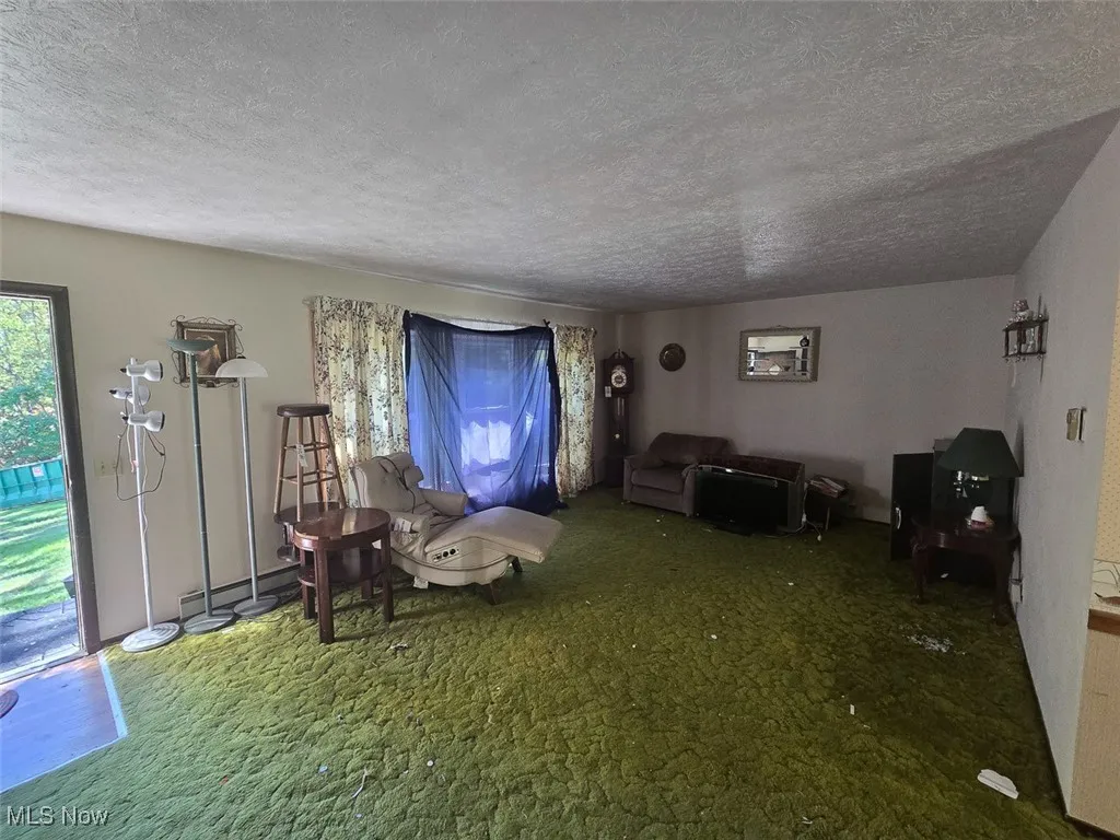 Carpeted living room featuring a textured ceiling