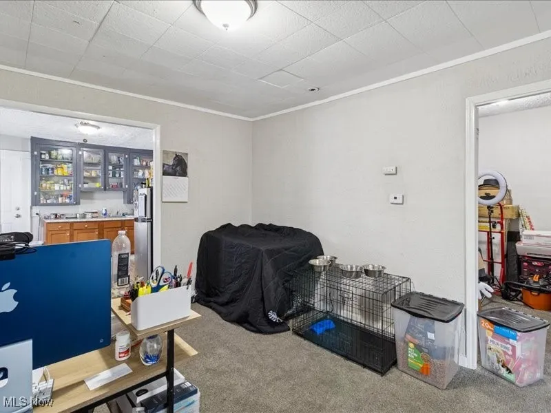 Carpeted home office with crown molding