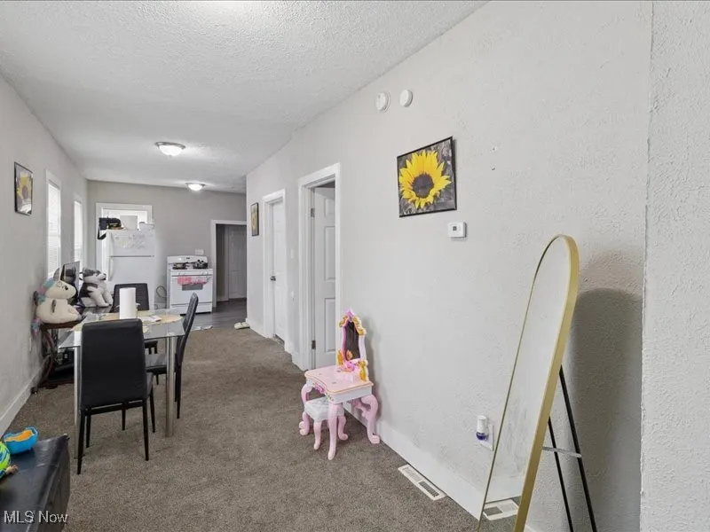 Recreation room with carpet floors, a textured ceiling, and a textured wall