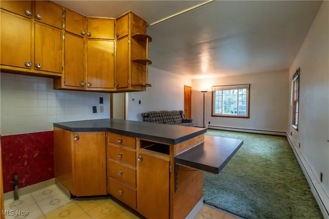 480 Wirth Avenue, Akron, Ohio 44312,MLS Now Listing ID