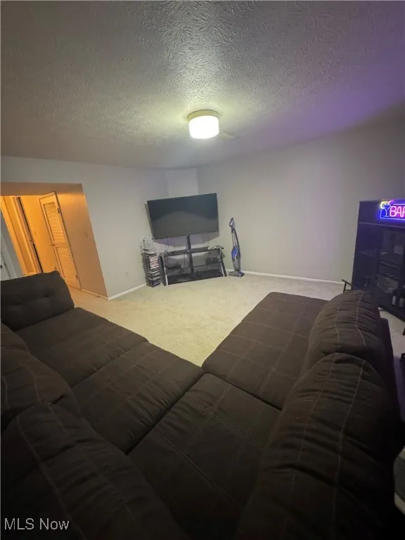 Recreational Room featuring carpet flooring and a textured ceiling