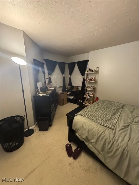 Bedroom with a textured ceiling and light colored carpet