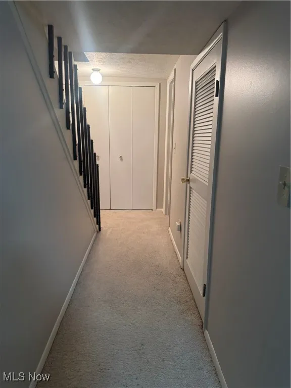 Basement Hall featuring light carpet and stairway