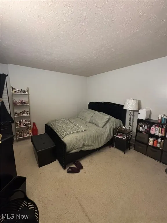 Bedroom with light carpet and a textured ceiling