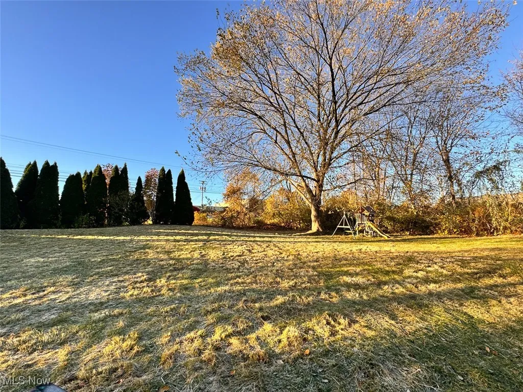 View of green lawn featuring a playground and view of scattered trees