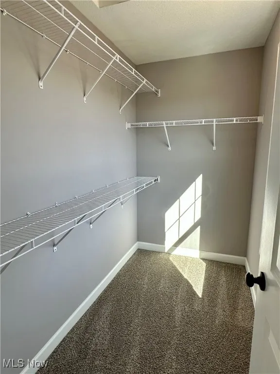 Walk in closet featuring carpet floors