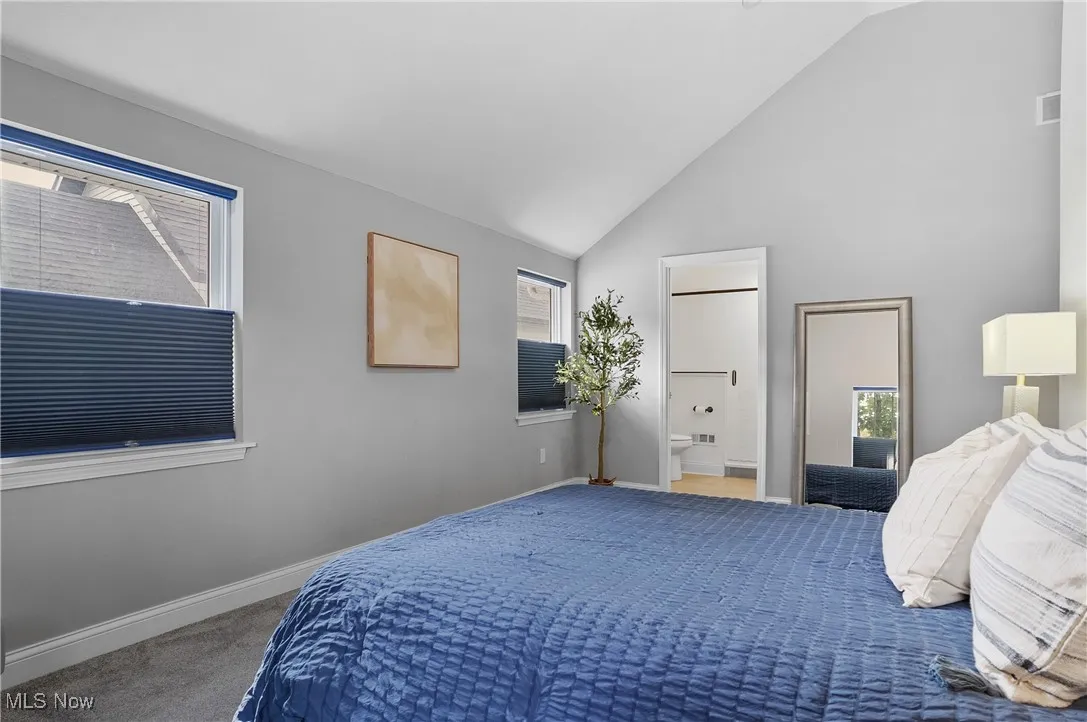 Bedroom featuring multiple windows, carpet, high vaulted ceiling, and ensuite bath
