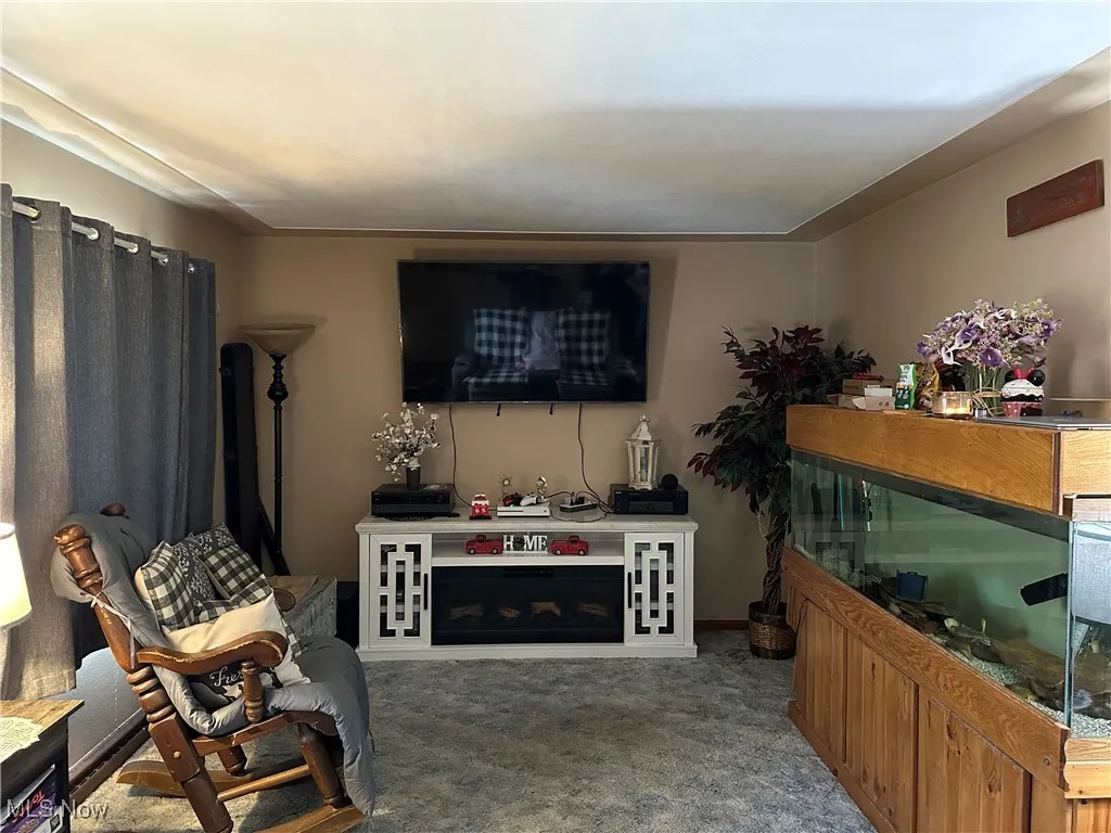 1519 Maine Avenue, Lorain, Ohio 44052,MLS Now Listing ID