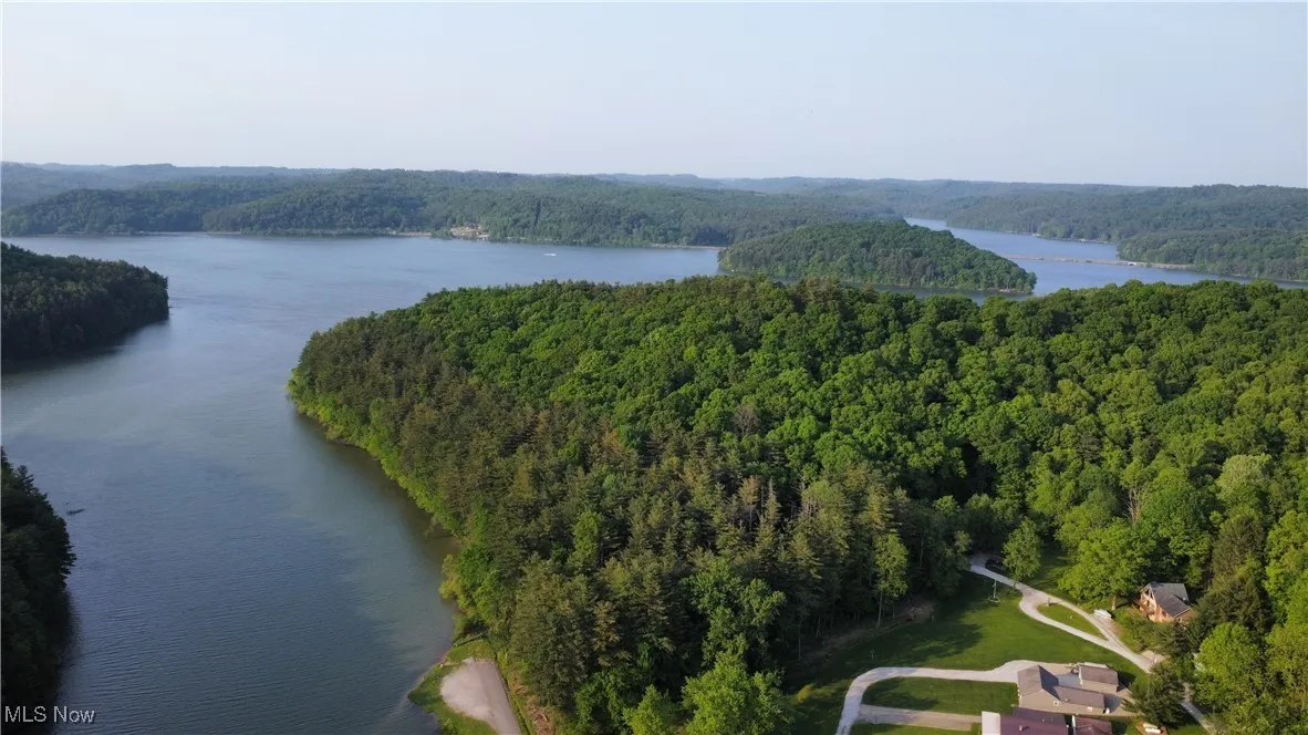 Drone / aerial view with a forest view and a water view