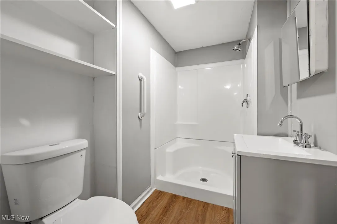 Full bathroom featuring wood finished floors, vanity, toilet, and a shower