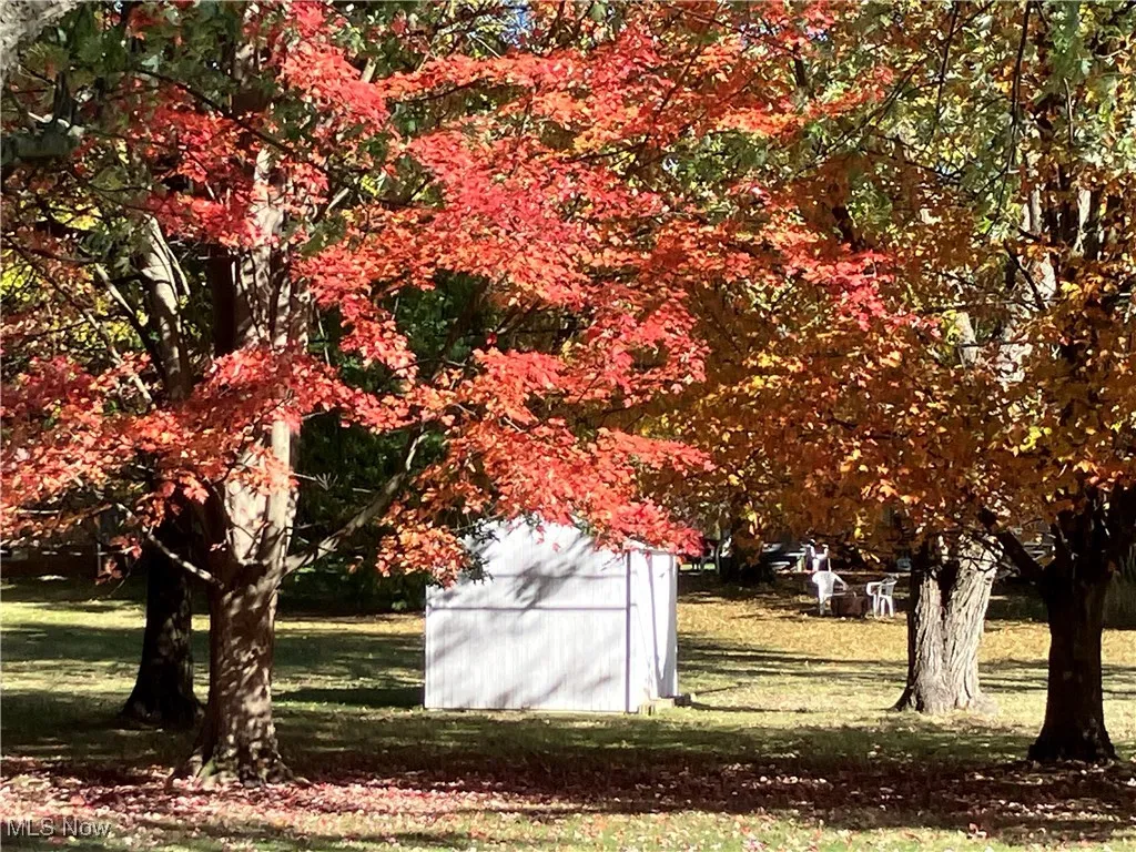 8199 Wright Road, Broadview Heights, Ohio 44147,MLS Now Listing ID