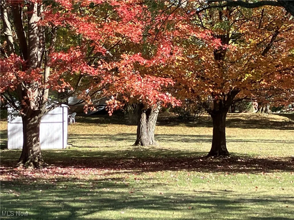 8199 Wright Road, Broadview Heights, Ohio 44147,MLS Now Listing ID