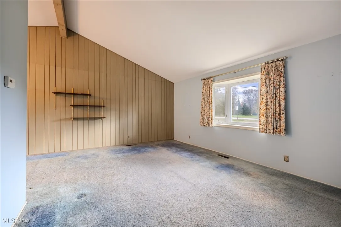 Unfurnished room with wood walls and carpet flooring