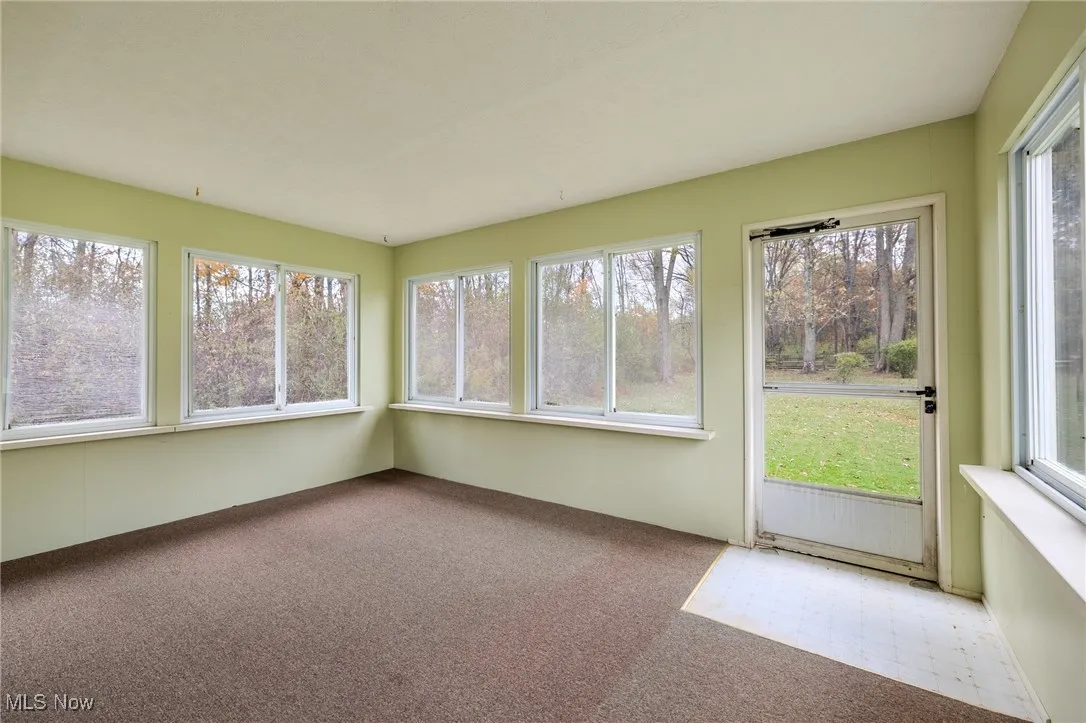Unfurnished sunroom with carpet floors