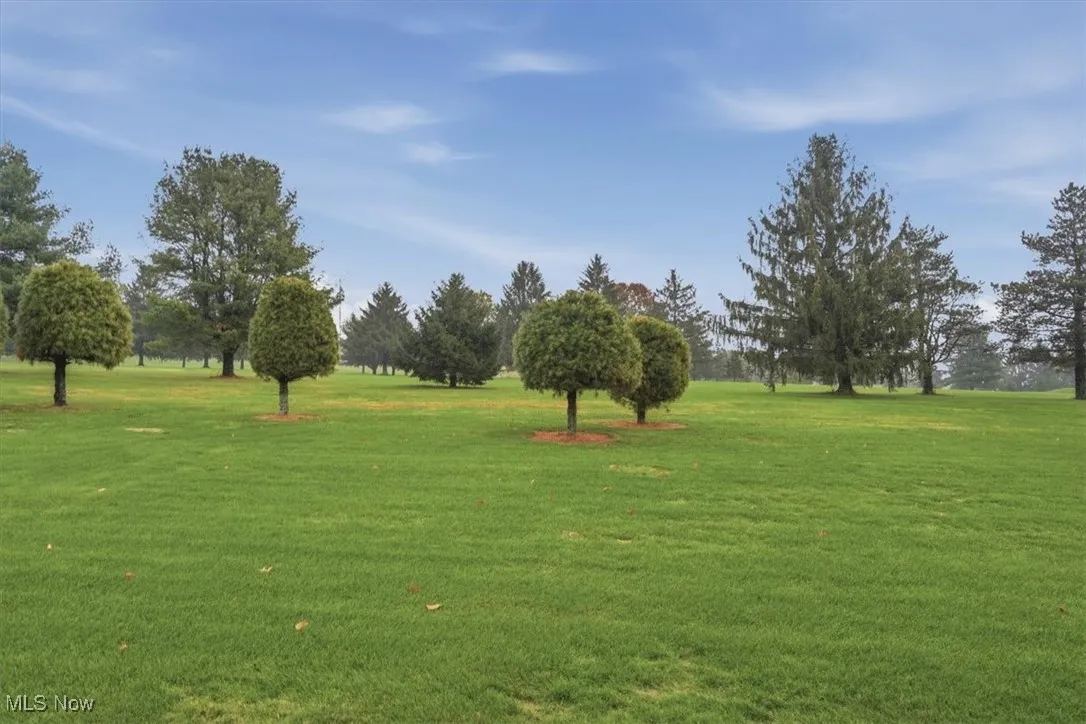 View of home's community with a yard