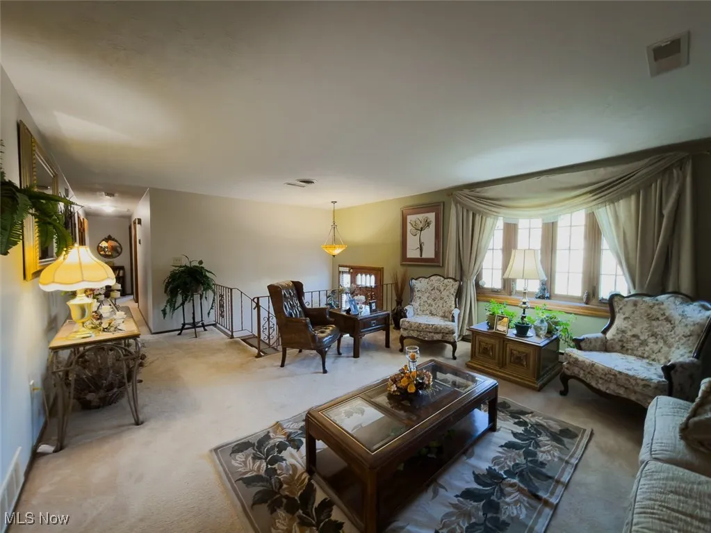 Living room with carpet floors