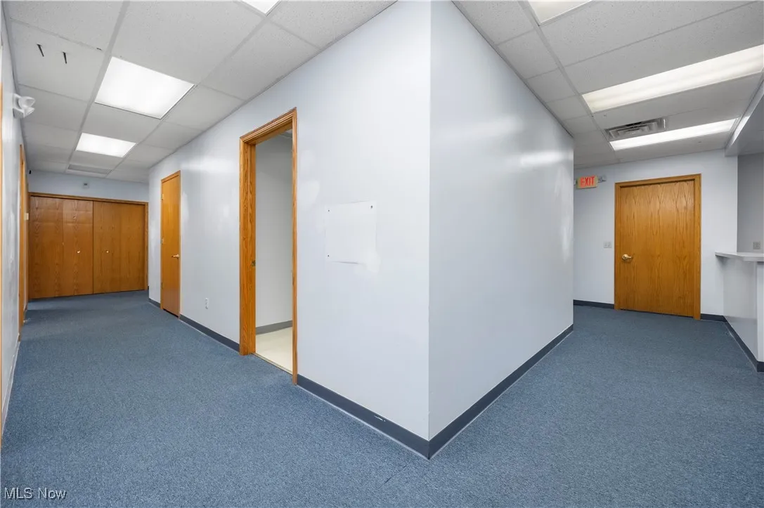 Hall with carpet and a paneled ceiling