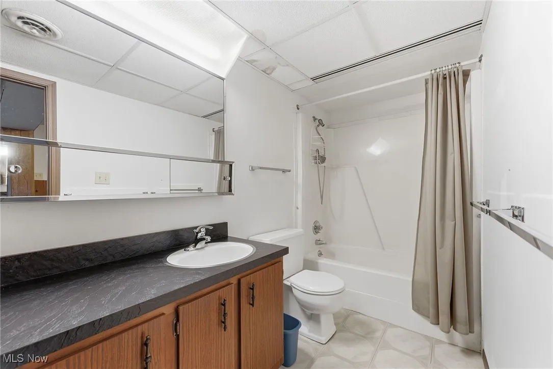 Lower level bathroom