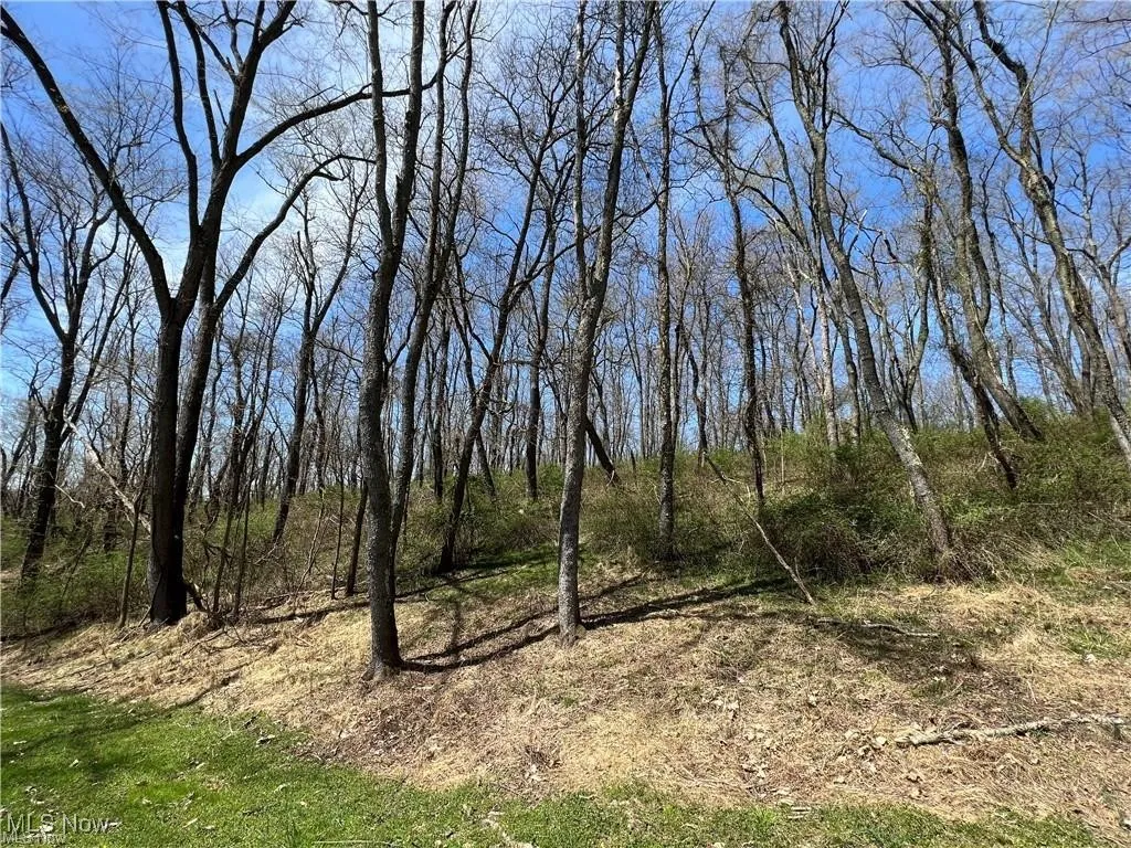 TBD DERBY Drive, New Cumberland, West Virginia 26047,MLS Now Listing ID