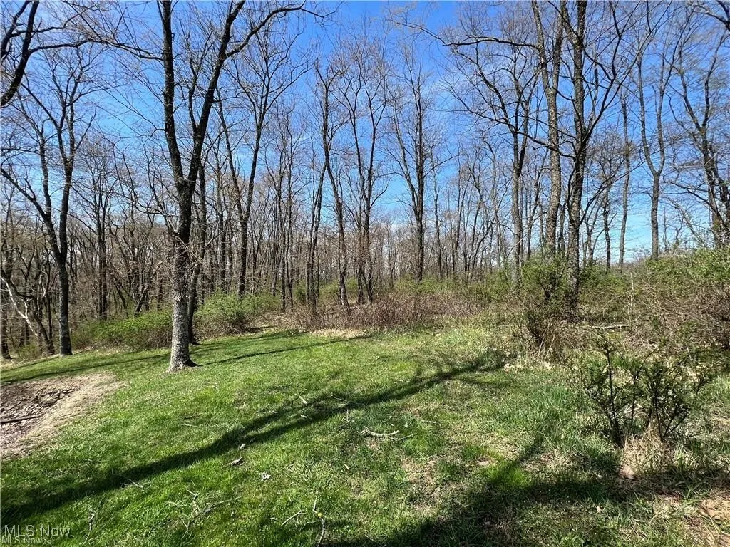 TBD DERBY Drive, New Cumberland, West Virginia 26047,MLS Now Listing ID