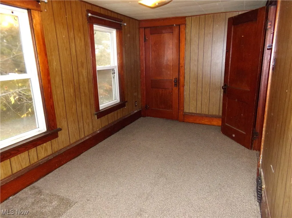 Unfurnished room with wood walls and light carpet
