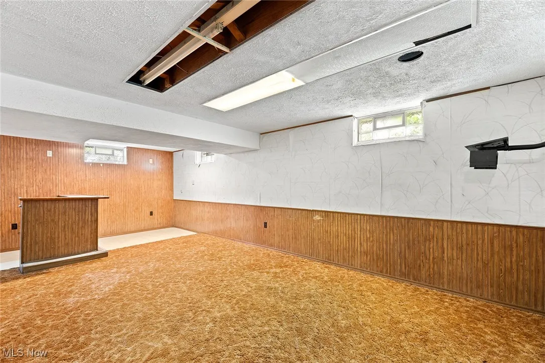Below grade area with wood walls, healthy amount of natural light, carpet, a textured ceiling, and a wainscoted wall