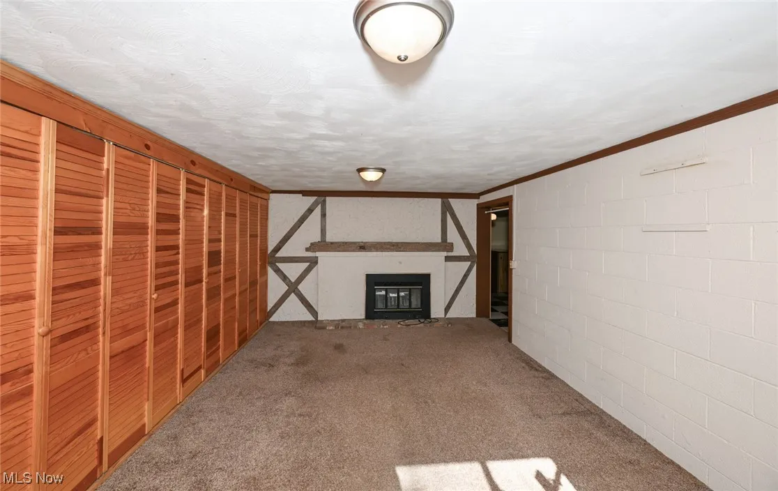 Carpeted room w/ 2nd fireplace