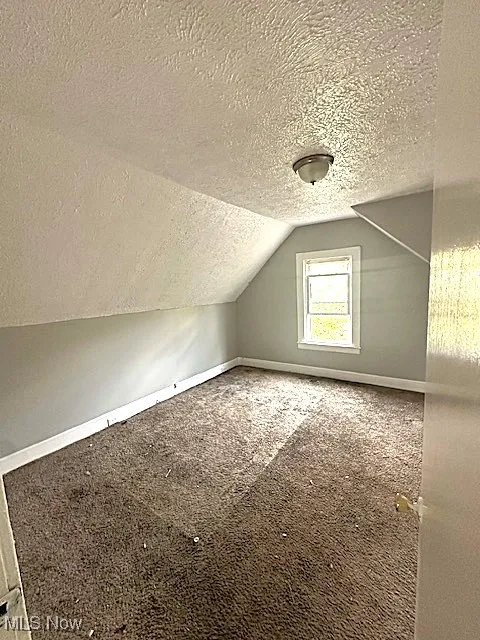 Additional living space featuring a textured ceiling, lofted ceiling, and carpet flooring
