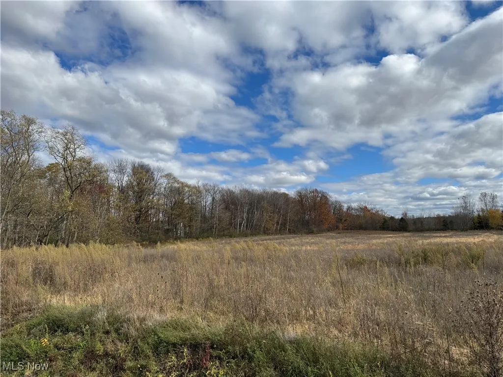 V/L 2 Chardon Windsor Road, Chardon, Ohio 44024,MLS Now Listing ID