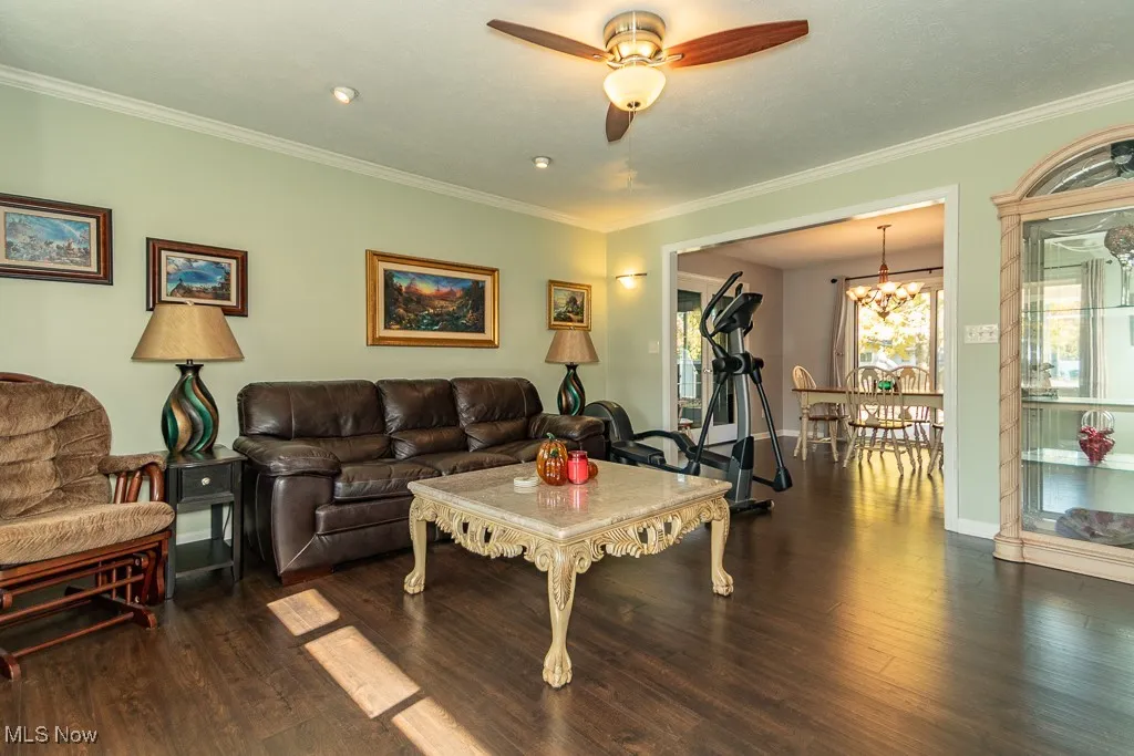 Living room featuring ornamental molding, dark wood finished floors, ceiling fan, and a chandelier