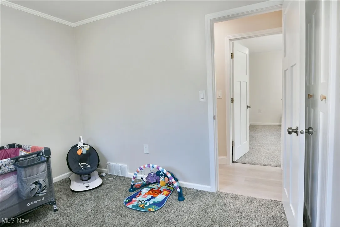 Playroom with carpet floors and crown molding